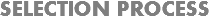 SELECTION PROCESS